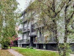 QUADRILOCALE CON BOX E CANTINA!! - 1