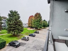 QUADRILOCALE CON BOX E CANTINA!! - 25