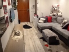 CAMERLATA TRILOCALE CON BOX - 3